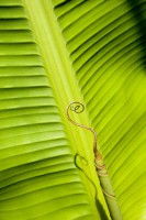 /album/galerie-photos/jfcdg4fmenez025-jpg1/