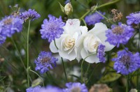 /album/galerie-photos/jfcdg10lecam107-jpg1/