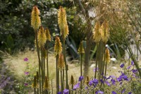 /album/galerie-photos/jfcdg11lecam081-jpg1/