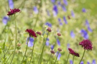 /album/galerie-photos/jfcdg21keralloche130-jpg1/