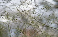 /album/galerie-photos/jfcdg25hbillant104-jpg1/