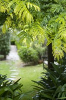 /album/galerie-photos/jfcdg25hbillant183-jpg1/