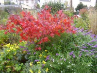 /album/galerie-photos/p1010050-jpg1/