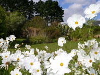 /album/galerie-photos/p1020444-jpg1/