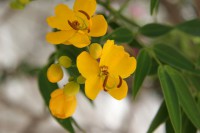 /album/galerie-photos/img-2106-jpg/