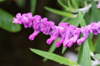 /album/galerie-photos/img-4656-jpg/