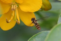 /album/galerie-photos/img-4659-jpg/