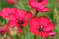 /album/galerie-photos/img-4688-jpg/