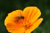 /album/galerie-photos/img-4900-jpg/